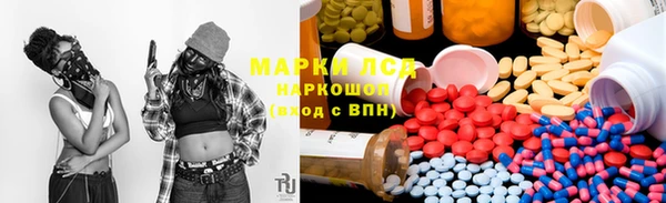 стафф Алзамай