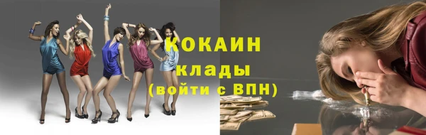 индика Семёнов