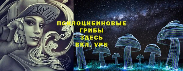 стафф Алзамай