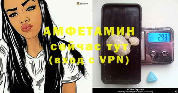 стафф Алзамай